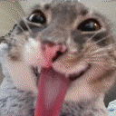 horizonanarchy_MAPART_90